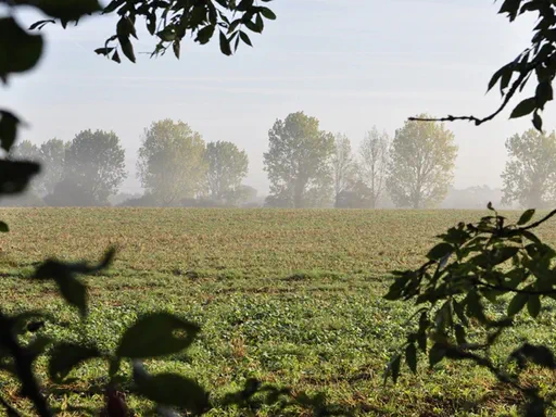 The Stables Outside and Living spaces